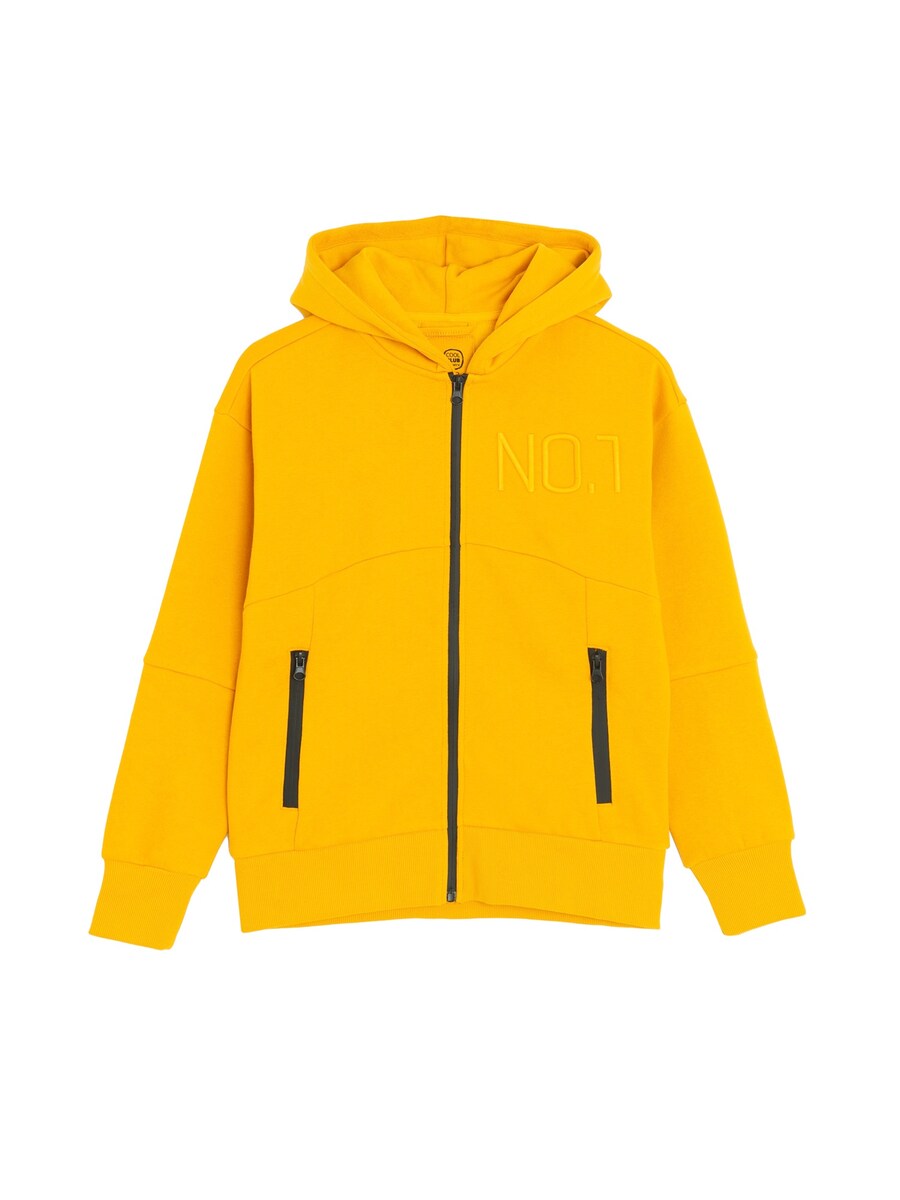 Толстовка с капюшоном на молнии Cool Club, оранжевый
Толстовка с капюшоном на молнии Cool Club, оранжевый