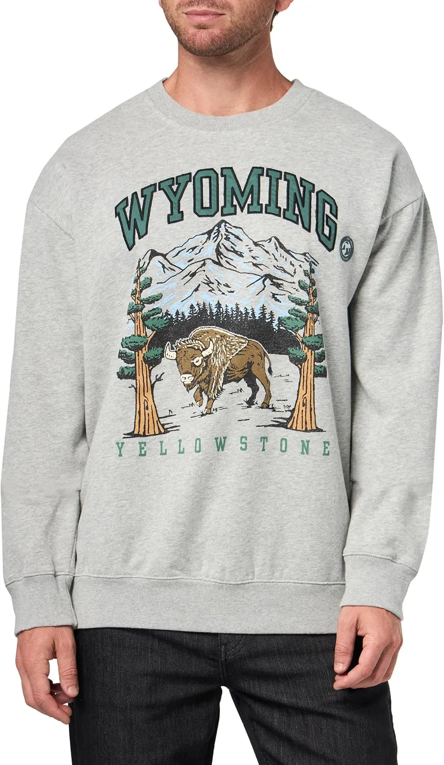Толстовка AEROPOSTALE Wyoming Crew
Толстовка AEROPOSTALE Wyoming Crew