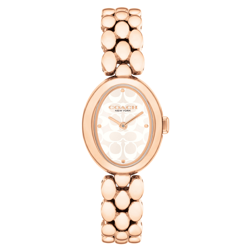 COACH Женские часы Sammy с кварцевым механизмом, стальной браслет, белый циферблат
COACH Женские часы Sammy с кварцевым механизмом, стальной браслет, белый циферблат
