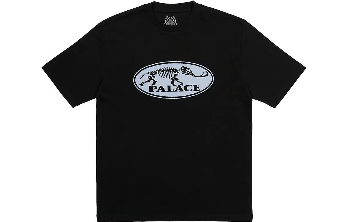 Футболка Bone Dry PALACE, черный
Футболка Bone Dry PALACE, черный