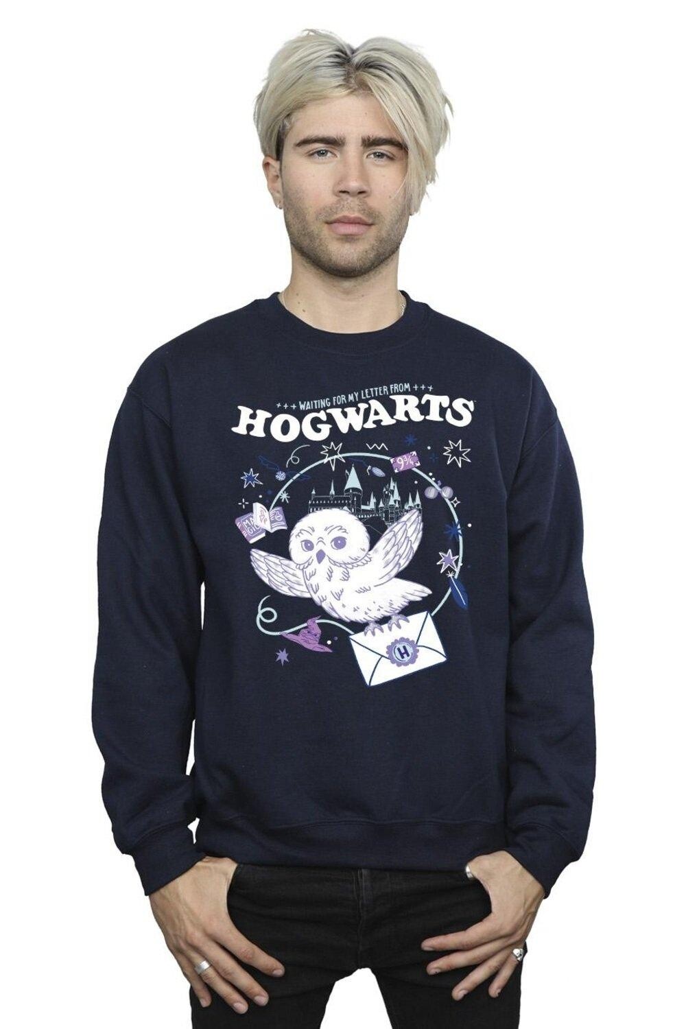 Толстовка с изображением совы «Письмо из Хогвартса» Harry Potter, темно-синий