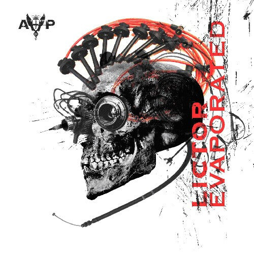 CD диск Arzt & Pfusch: Lictor Evaporated
CD диск Arzt & Pfusch: Lictor Evaporated