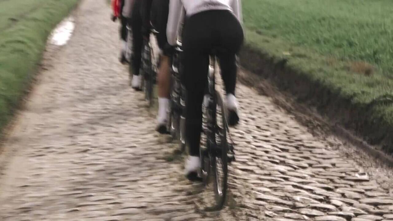 Мужские шорты для шоссейного велоспорта Van Rysel 
Мужские шорты для шоссейного велоспорта Van Rysel