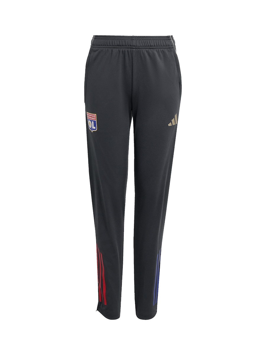 Обычные спортивные штаны ADIDAS PERFORMANCE, серый
Обычные спортивные штаны ADIDAS PERFORMANCE, серый