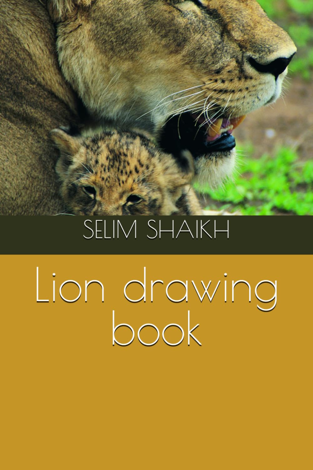 Lion drawing book (Independently published)
Lion drawing book (Independently published)