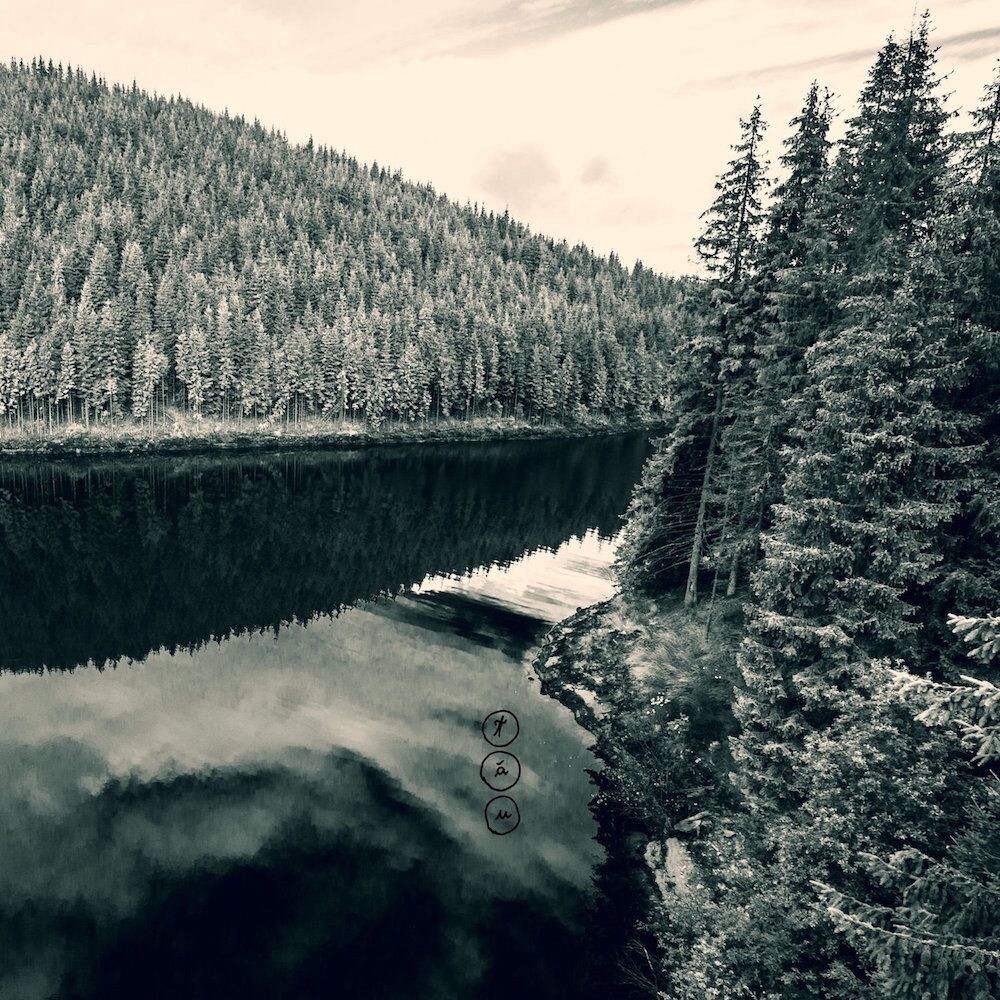 Диск CD Tau - Negura Bunget
Диск CD Tau - Negura Bunget