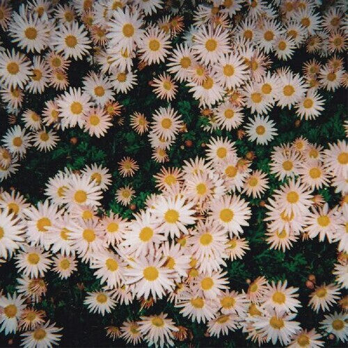 CD диск Bad Bad Hats: Bad Bad Hats
CD диск Bad Bad Hats: Bad Bad Hats