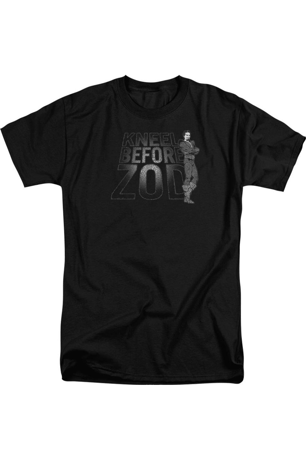 Футболка DC Comics Kneel Zod с коротким рукавом для взрослых Gildan, черный
Футболка DC Comics Kneel Zod с коротким рукавом для взрослых Gildan, черный
