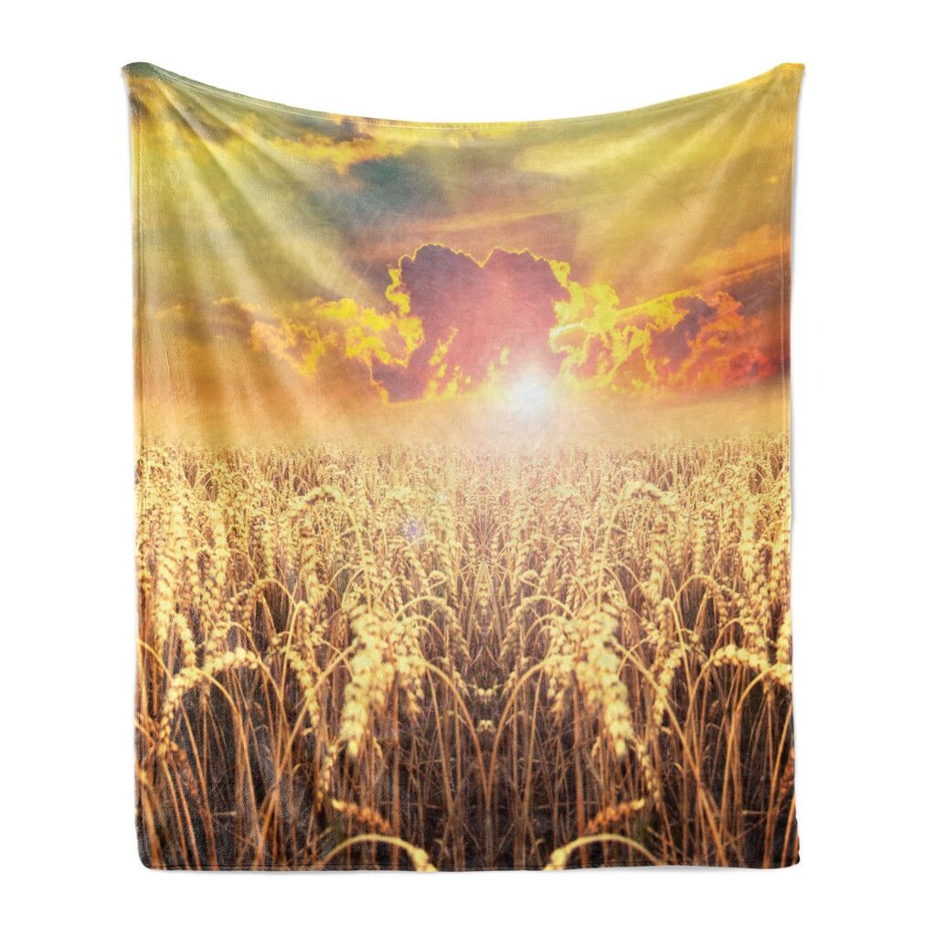 Мягкое фланелевое флисовое одеяло ABAKUHAUS Farmhouse, Anther Field Sunset, уютный плюш для использования в помещении и на открытом воздухе, 125 x 175 см, песочно-коричневый многоцветный
Мягкое фланелевое флисовое одеяло ABAKUHAUS Farmhouse, Anther Field Sunset, уютный плюш для использования в помещении и на открытом воздухе, 125 x 175 см, песочно-коричневый многоцветный