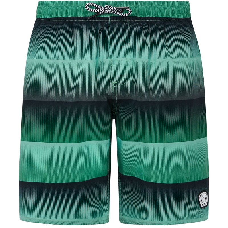 Плавки-Шорты prtray jr Protest, зеленый
Плавки-Шорты prtray jr Protest, зеленый