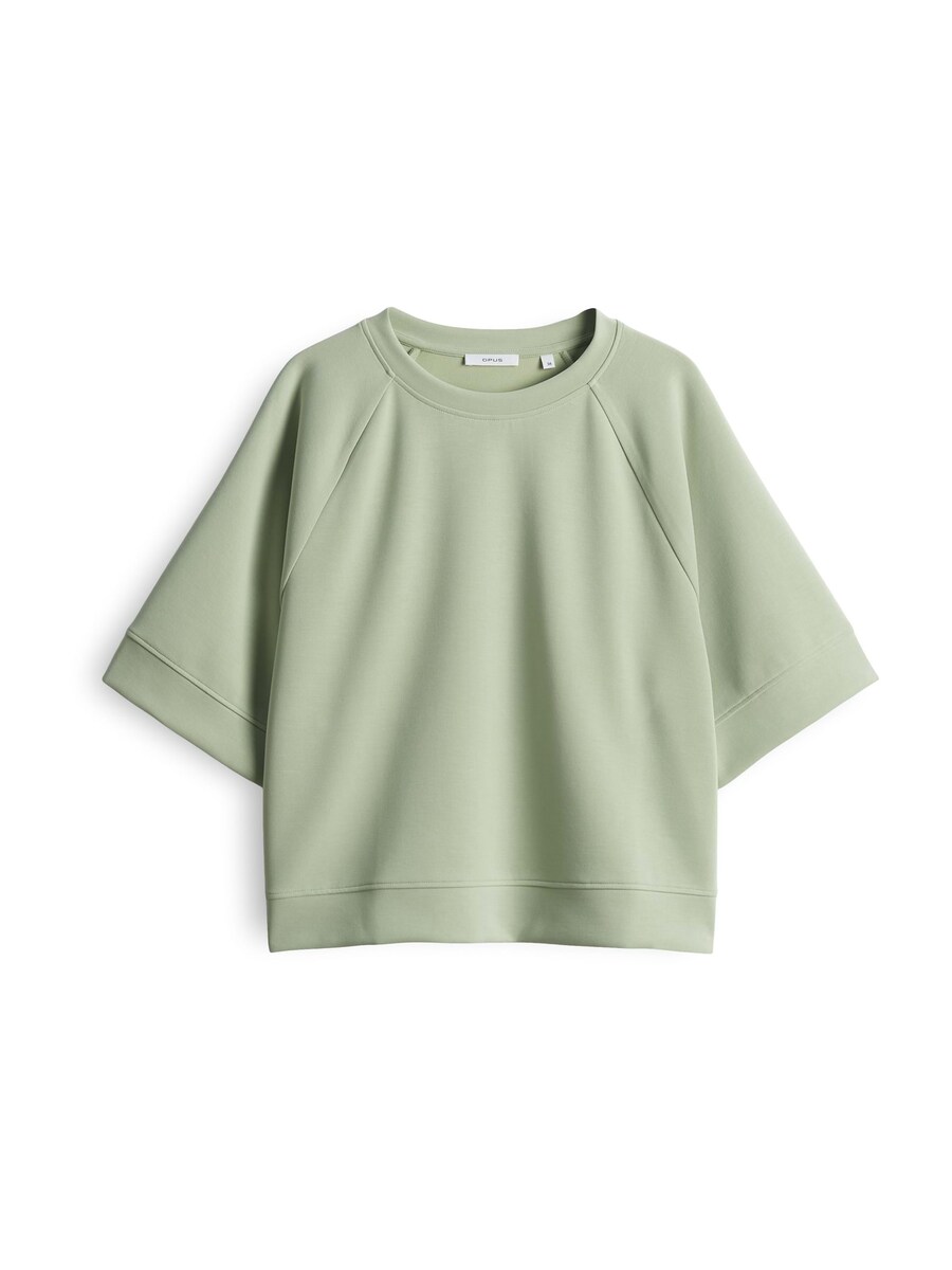 Толстовка OPUS Ginus, светло-зеленый
Толстовка OPUS Ginus, светло-зеленый