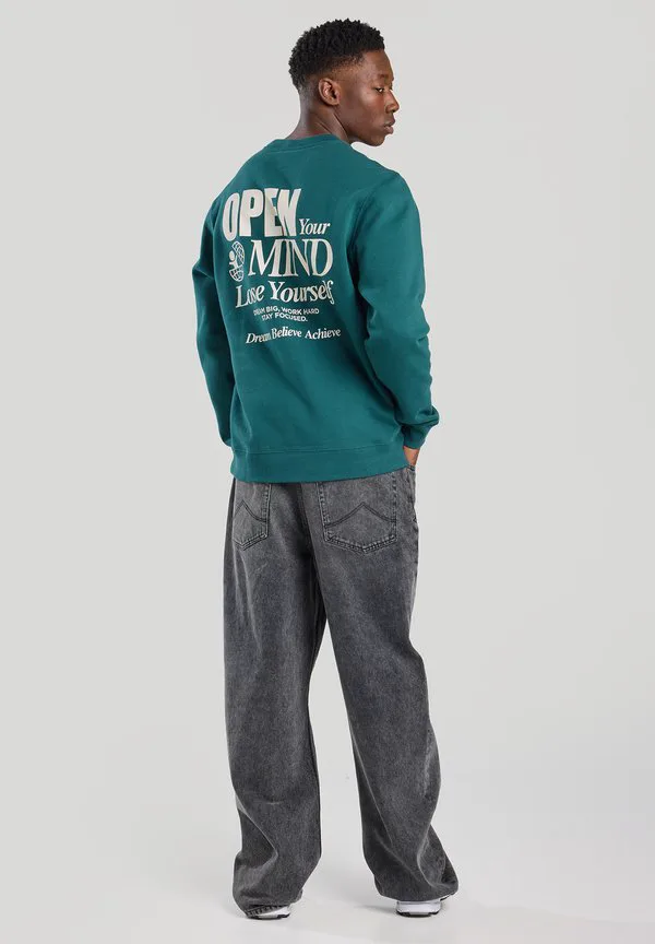 Толстовка crew America Today, Pine Green, Зеленый, Толстовка crew America Today, Pine Green
Толстовка crew America Today, Pine Green, Зеленый, Толстовка crew America Today, Pine Green