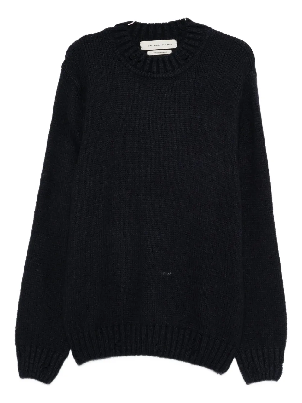 Свитер с круглым вырезом Stay Human On Earth, синий
Свитер с круглым вырезом Stay Human On Earth, синий