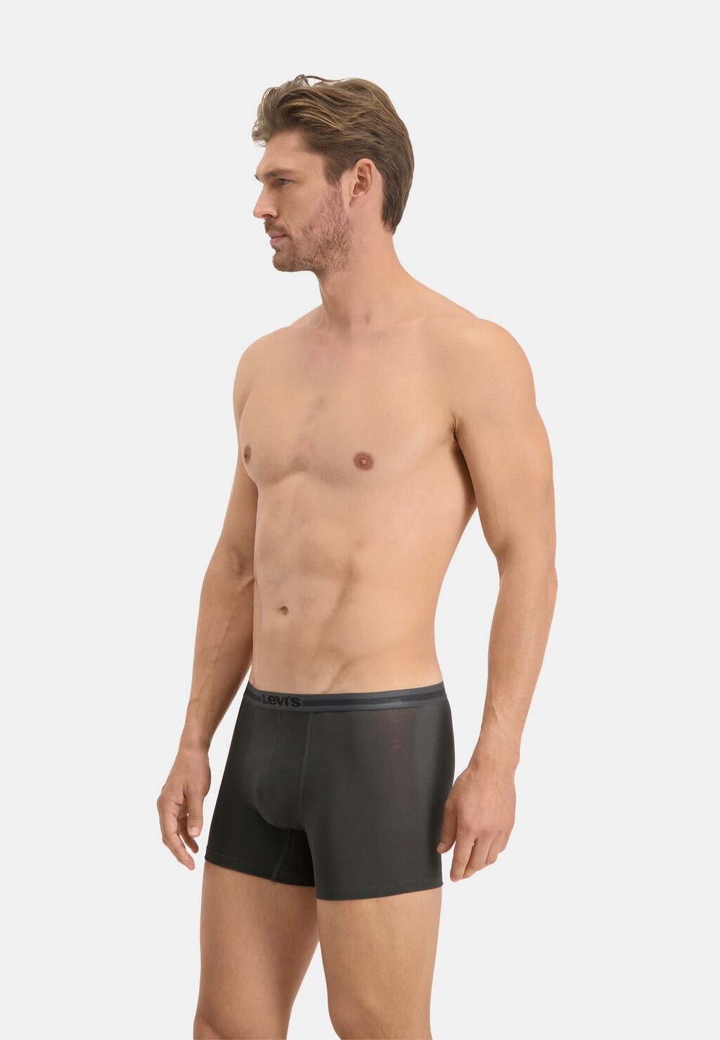 Брюки MEN BRIEF 2 PACK Levi's®, темно-серый 
Брюки MEN BRIEF 2 PACK Levi's®, темно-серый