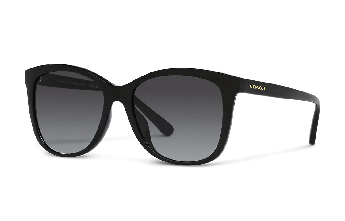 COACH Женские солнцезащитные очки, Black
COACH Женские солнцезащитные очки, Black