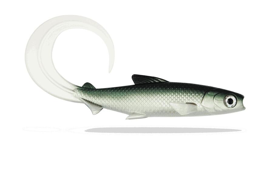 FISHINGGHOST Мягкая приманка - Fishing Ghost - Renky Shad 35 см - Curly Tail - White Fish
FISHINGGHOST Мягкая приманка - Fishing Ghost - Renky Shad 35 см - Curly Tail - White Fish
