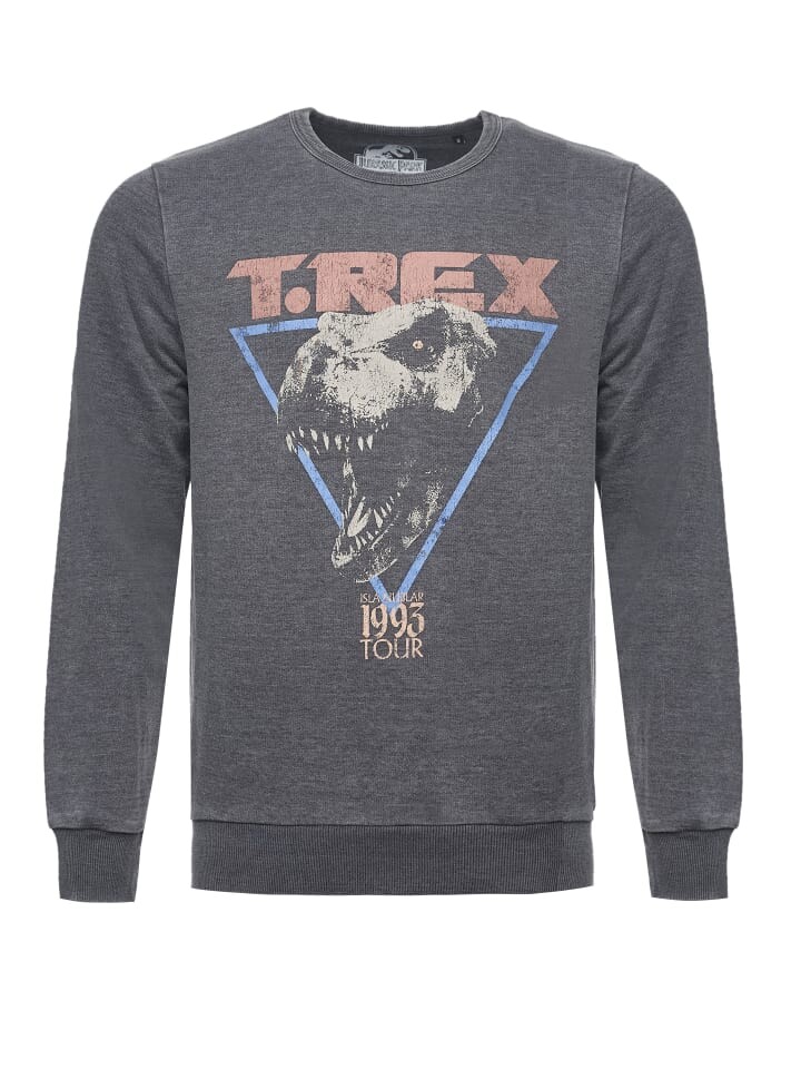 Толстовка Re:Covered Sweatshirt Jurassic Park T-Rex 1993, серый
Толстовка Re:Covered Sweatshirt Jurassic Park T-Rex 1993, серый