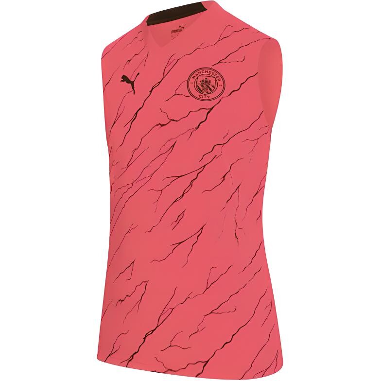 Футбольная майка мужская розовая Puma, розовый
Футбольная майка мужская розовая Puma, розовый