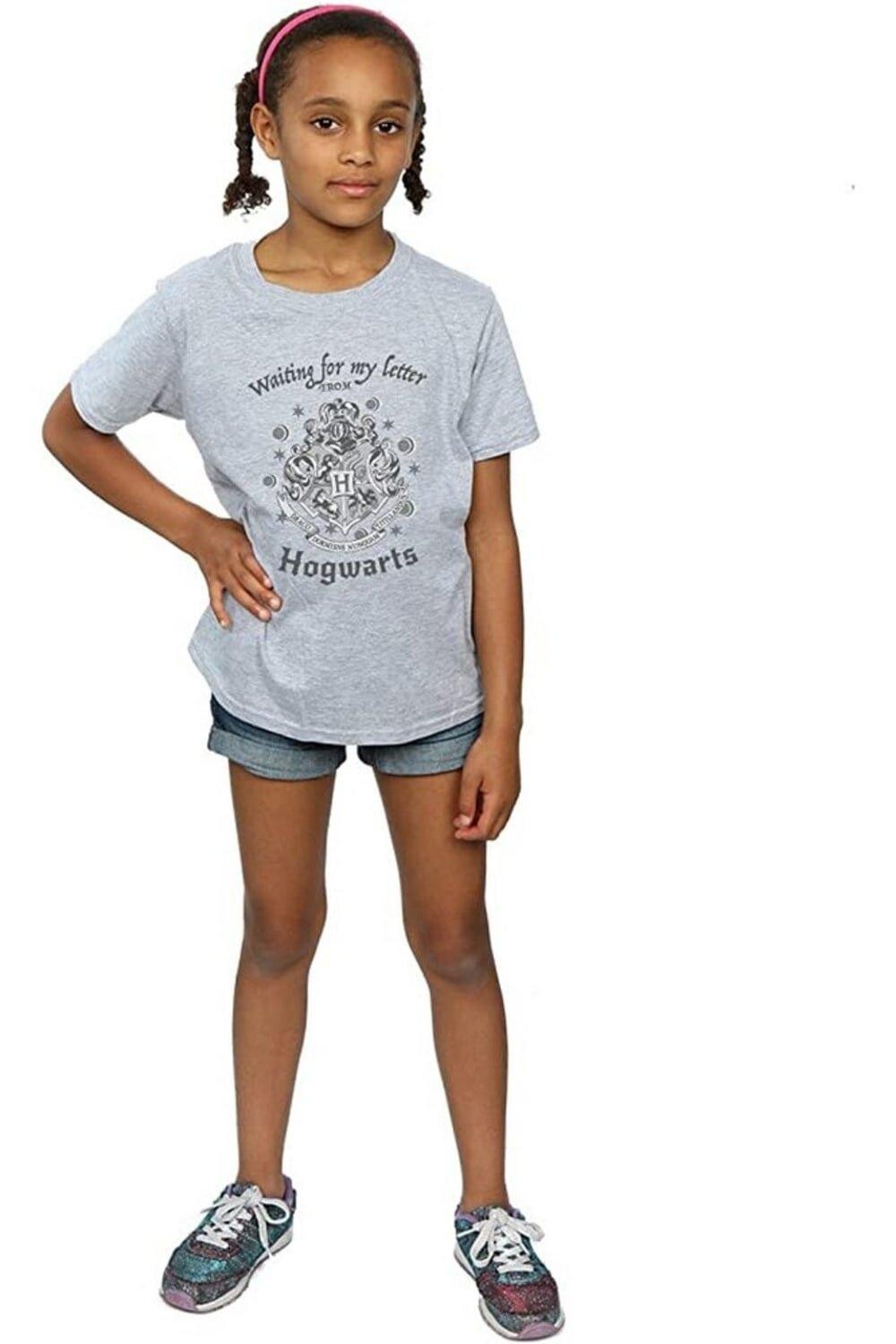 Футболка «В ожидании моего письма» из Хогвартса Harry Potter, серый
Футболка «В ожидании моего письма» из Хогвартса Harry Potter, серый