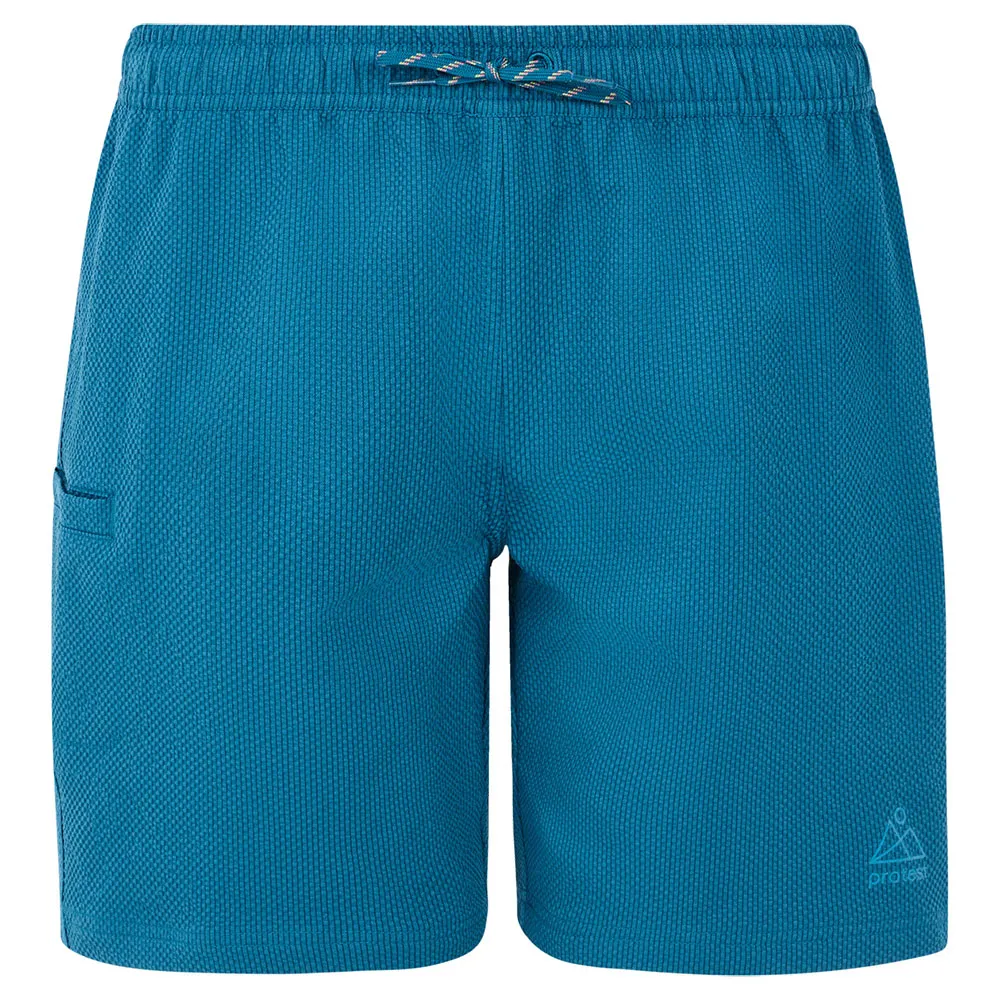 Шорты для плавания Protest Agaat 25, синий
Шорты для плавания Protest Agaat 25, синий
