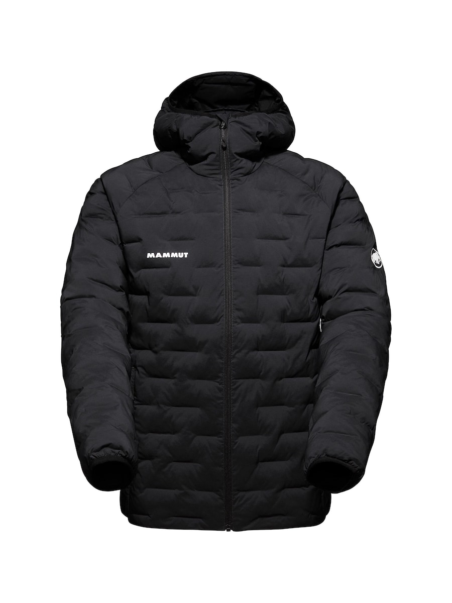 Куртка для активного отдыха MAMMUT, черный
Куртка для активного отдыха MAMMUT, черный