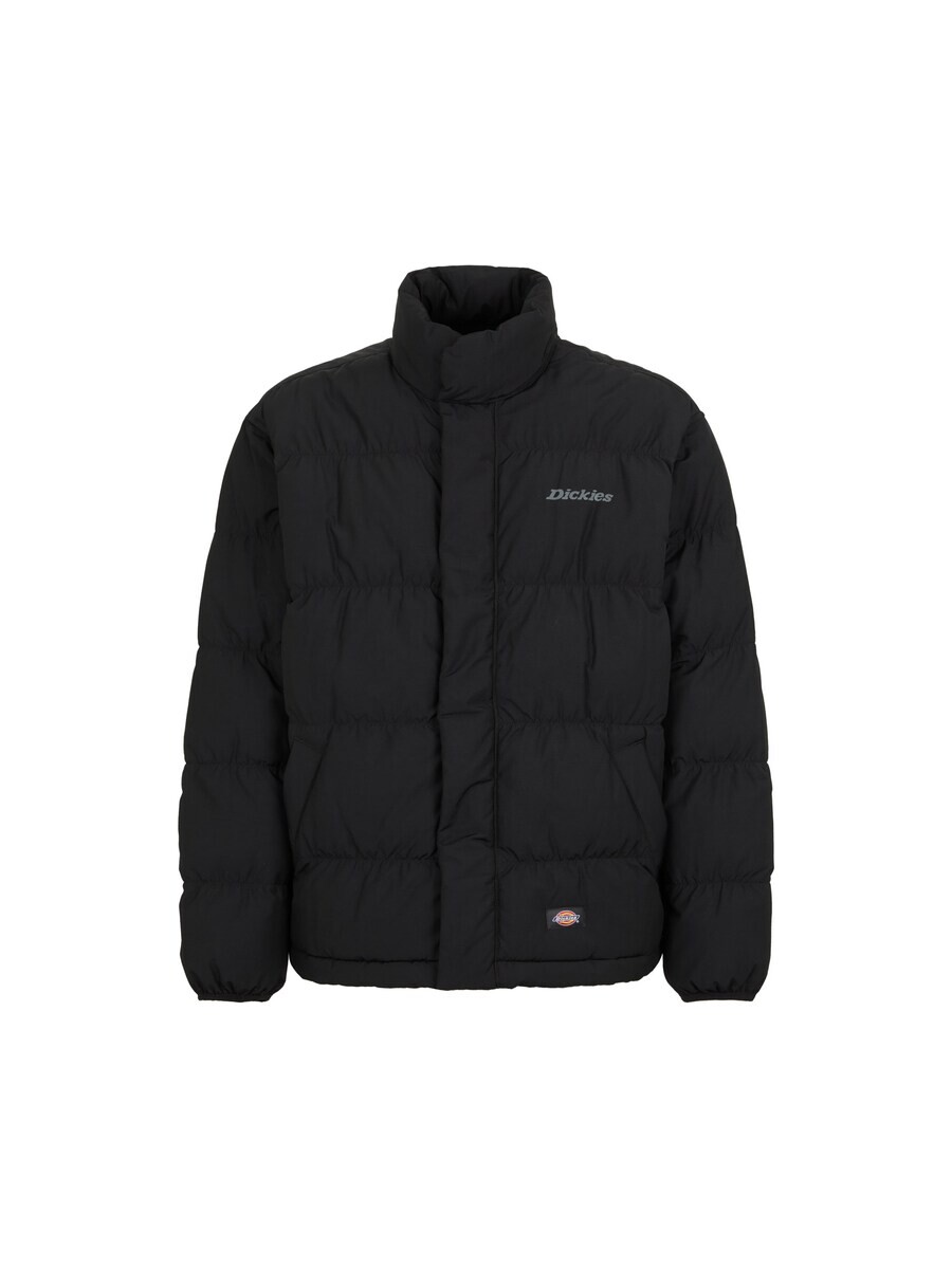 Зимняя куртка DICKIES Winter Jacket, черный
Зимняя куртка DICKIES Winter Jacket, черный