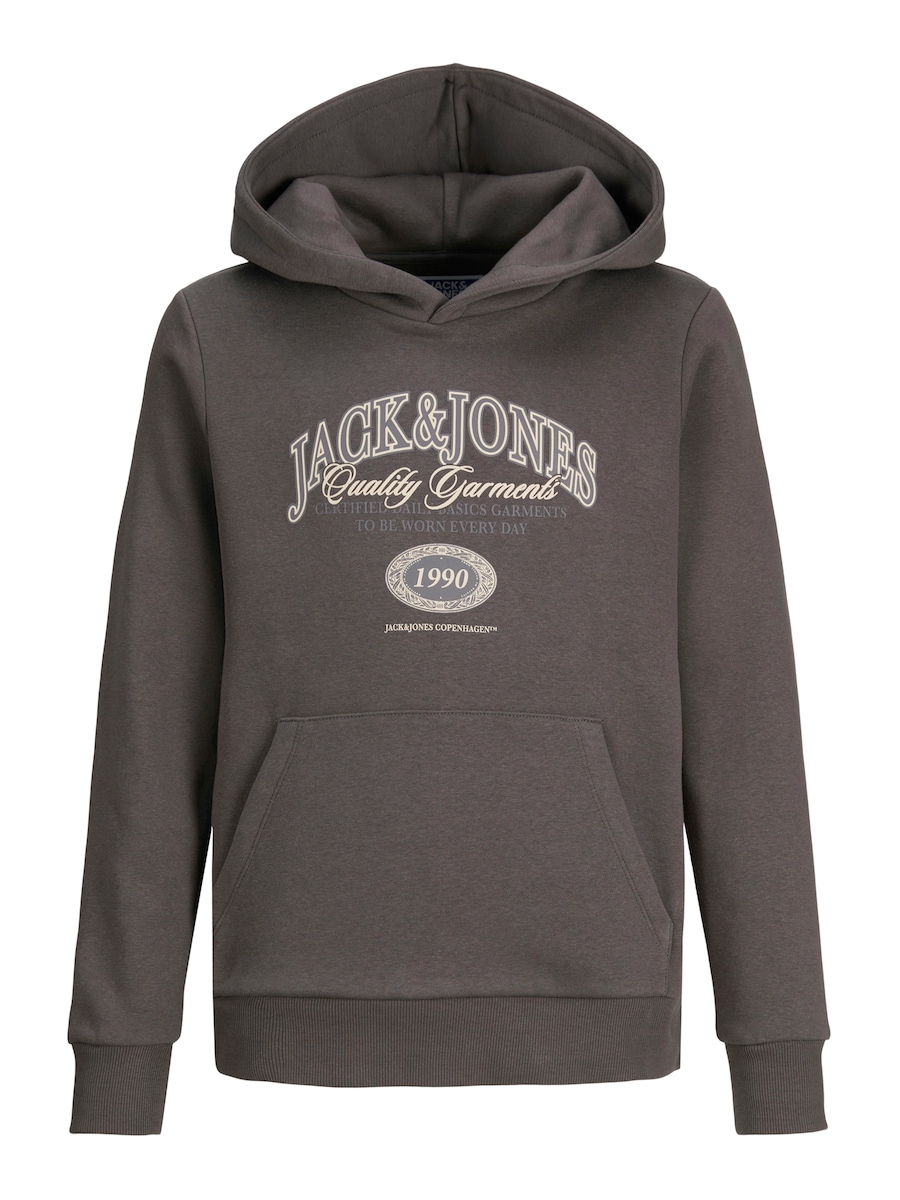 Толстовка Jack & Jones Junior JJARI, серый/светло-серый
Толстовка Jack & Jones Junior JJARI, серый/светло-серый