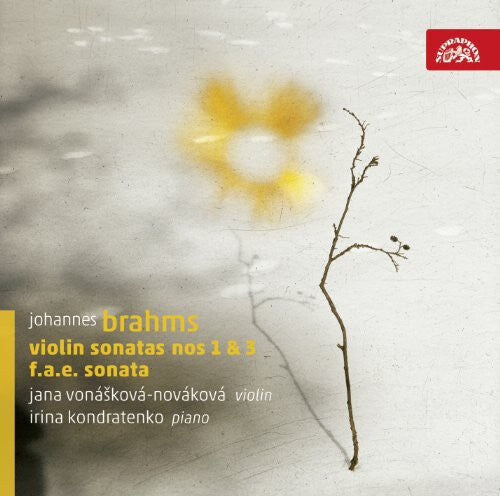 CD диск Brahms / Dietrich / Schumann / Vonaskova: Violin Sonatas
CD диск Brahms / Dietrich / Schumann / Vonaskova: Violin Sonatas