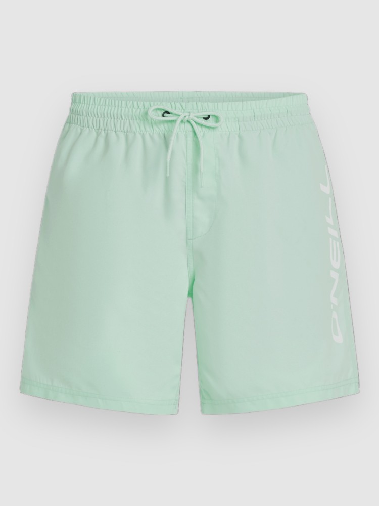 Пляжные шорты O'Neill Cali 16'' Boardshorts, mildrew mint
Пляжные шорты O'Neill Cali 16'' Boardshorts, mildrew mint