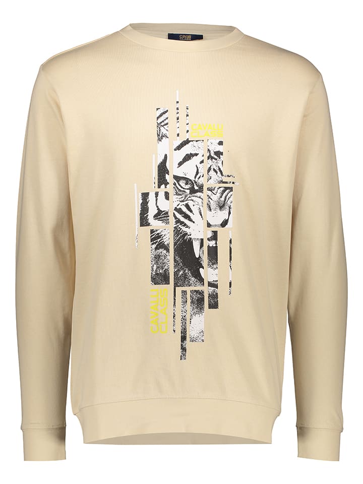 Толстовка cavalli CLASS, бежевый
Толстовка cavalli CLASS, бежевый