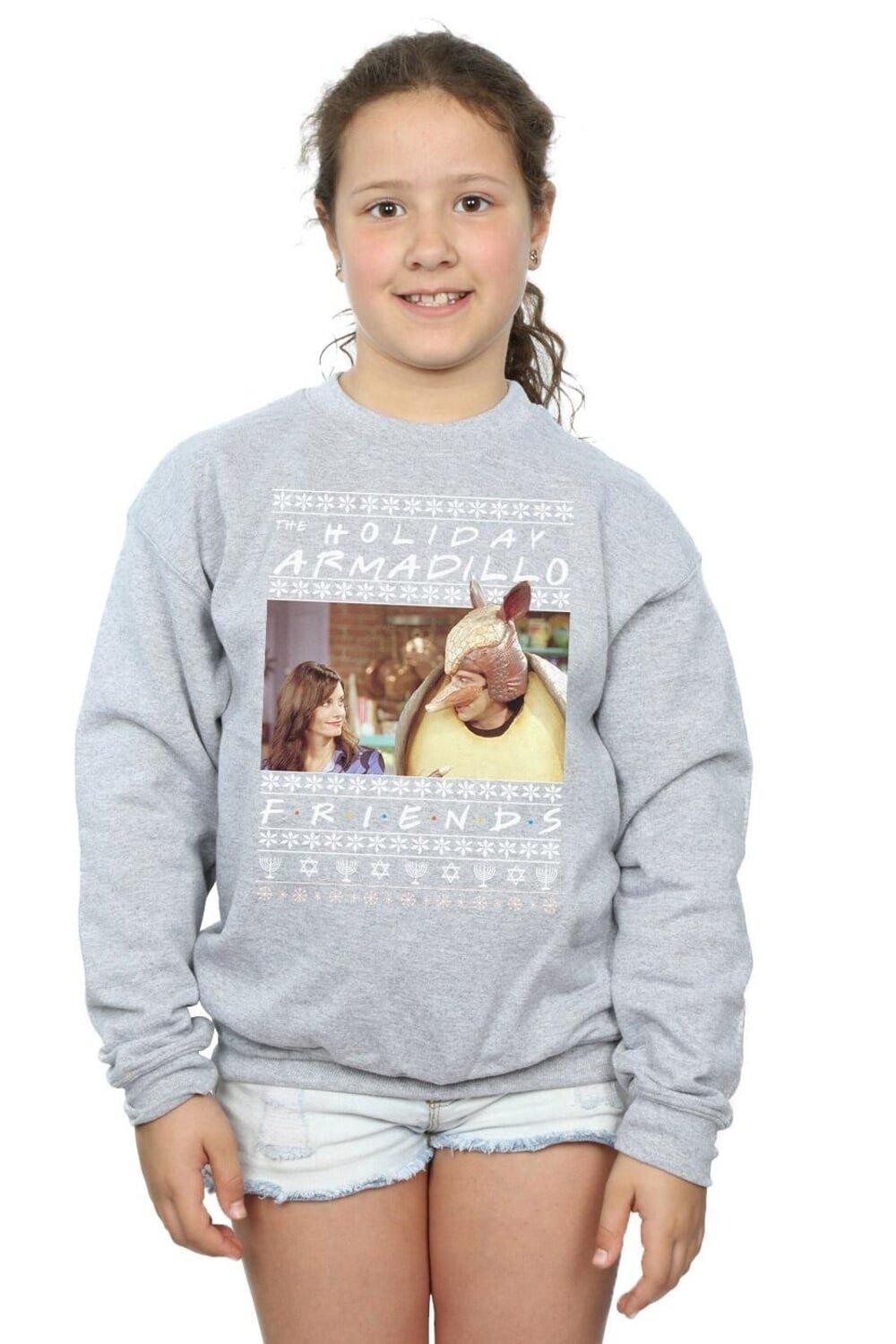 Толстовка Fair Isle Holiday Armadillo Friends, серый
Толстовка Fair Isle Holiday Armadillo Friends, серый