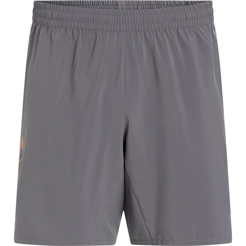 Шорты Каспер ВМ Energetics, серый
Шорты Каспер ВМ Energetics, серый
