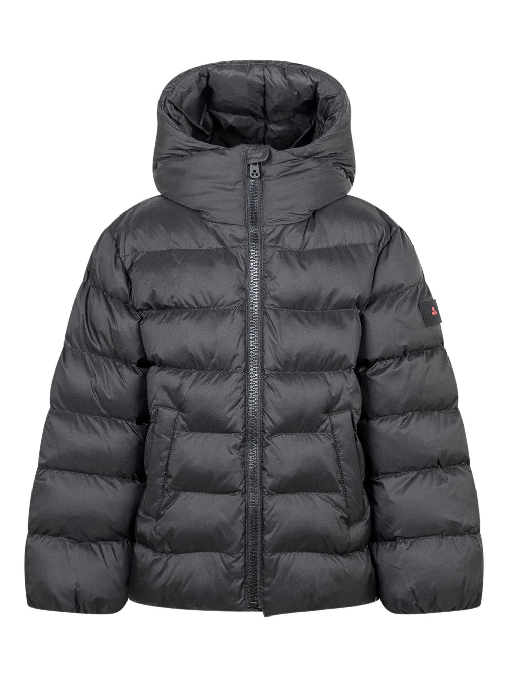 Куртка Firtem CJ с капюшоном Peuterey Kids, синий
Куртка Firtem CJ с капюшоном Peuterey Kids, синий