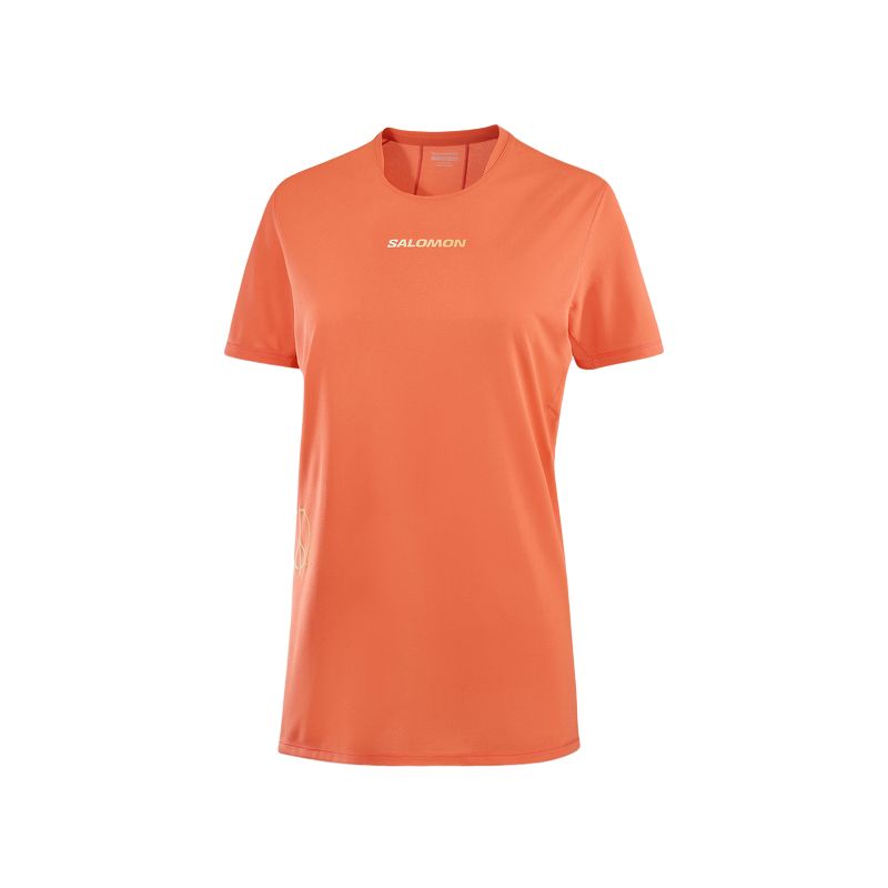 SALOMON Футболка Regular Women's Golden Lotus Orange, Оранжевый, SALOMON Футболка Regular Women's Golden Lotus Orange
SALOMON Футболка Regular Women's Golden Lotus Orange, Оранжевый, SALOMON Футболка Regular Women's Golden Lotus Orange