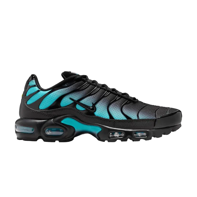 Кроссовки Air Max Plus 'Black Dusty Cactus', черный 
Кроссовки Air Max Plus 'Black Dusty Cactus', черный