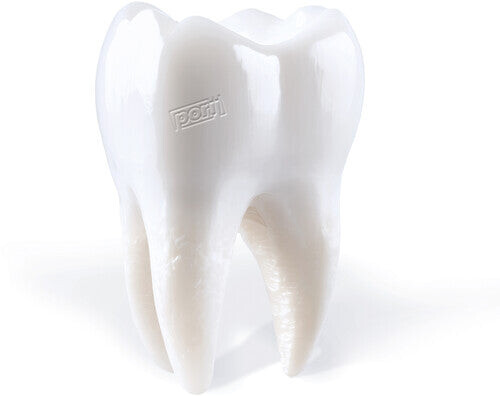 CD диск Porij: Teething
CD диск Porij: Teething