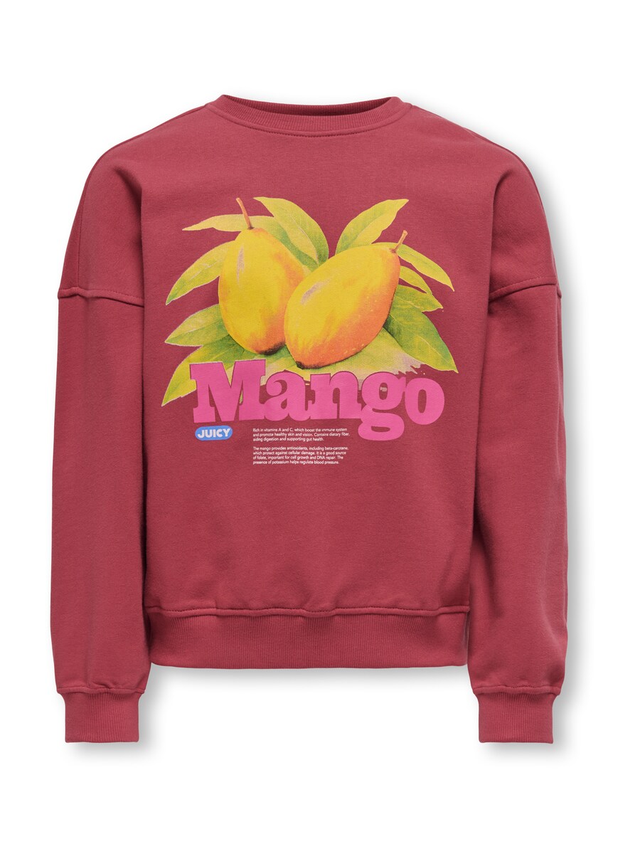 Толстовка ONLY GIRLS KOGPhilea, Wine Red/Red Violet
Толстовка ONLY GIRLS KOGPhilea, Wine Red/Red Violet
