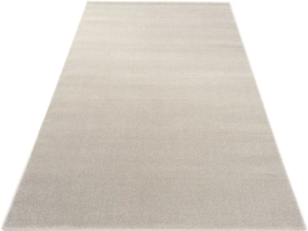 OCI THE CARPET BRAND "Louvre Melange" ковер, прямоугольный, для гостиной OCI Die Teppichmarke 140х200 см, цвет silberfarben
OCI THE CARPET BRAND "Louvre Melange" ковер, прямоугольный, для гостиной OCI Die Teppichmarke 140х200 см, цвет silberfarben