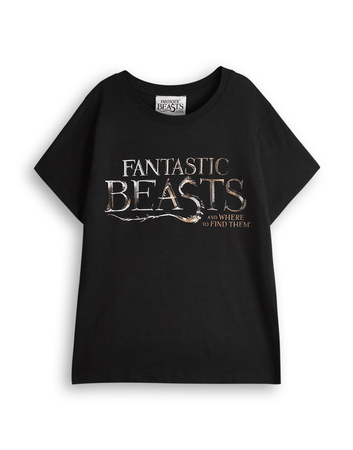 Футболка Fantastic Beasts And Where To Find Them с короткими рукавами, черный
Футболка Fantastic Beasts And Where To Find Them с короткими рукавами, черный