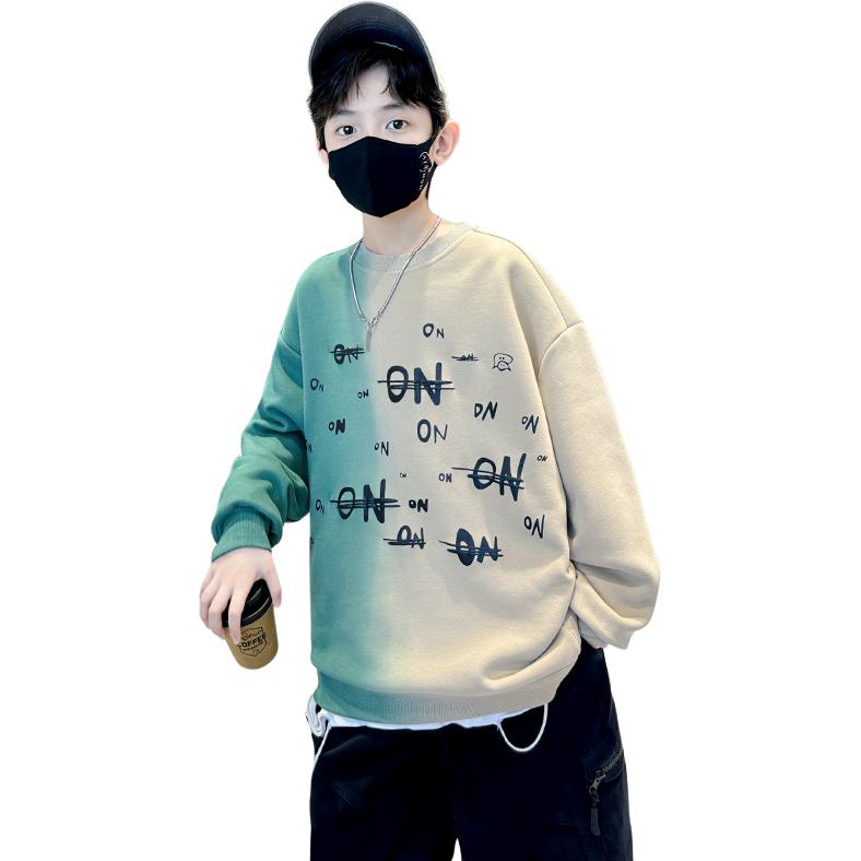 Детский свитшот с круглым вырезом Moderate EASTERN CAMEL, хаки
Детский свитшот с круглым вырезом Moderate EASTERN CAMEL, хаки