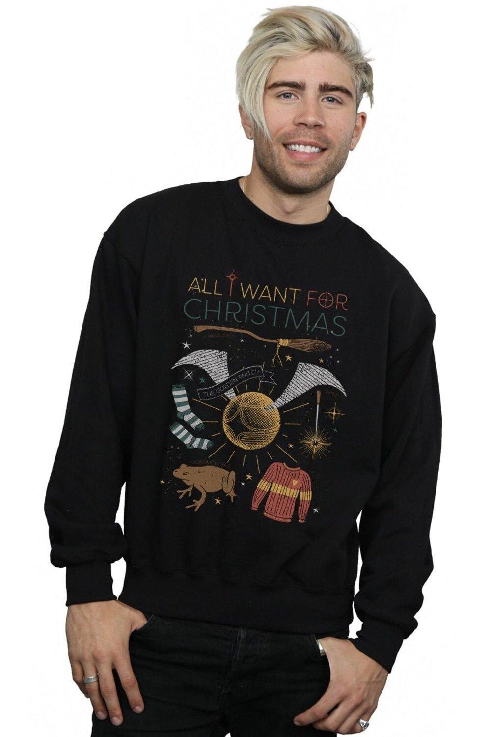 Толстовка «Все, что я хочу на Рождество» Harry Potter, черный
Толстовка «Все, что я хочу на Рождество» Harry Potter, черный
