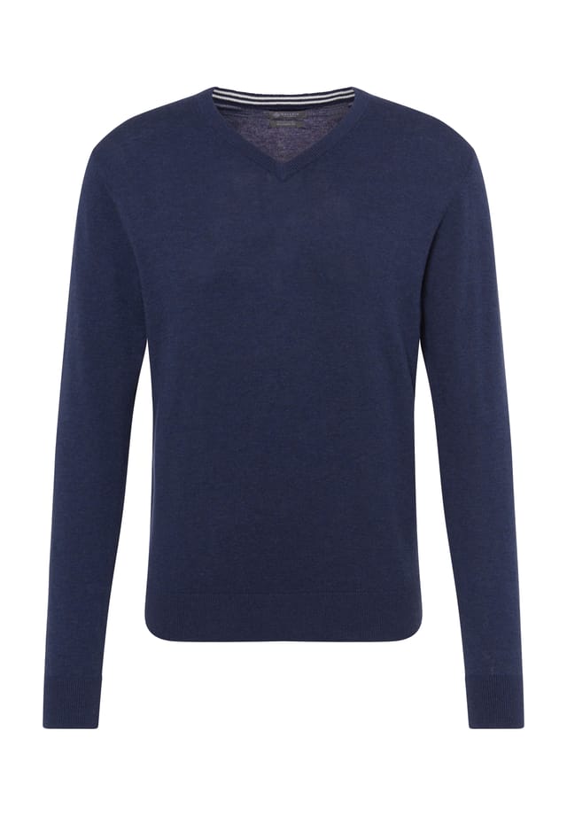 Хлопковый свитер с V-образным вырезом Galeria Essentials, синий
Хлопковый свитер с V-образным вырезом Galeria Essentials, синий