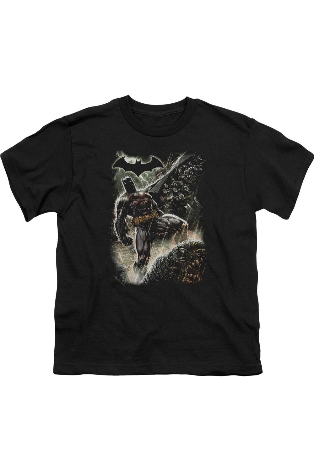Футболка с коротким рукавом для детей "Batman Family" Gildan, черный
Футболка с коротким рукавом для детей "Batman Family" Gildan, черный