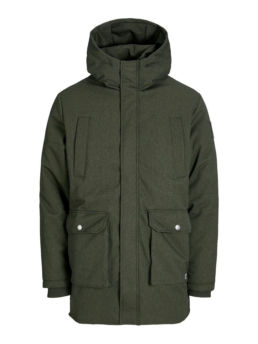 Зимняя парка JACK & JONES JWHFINN, Fir
Зимняя парка JACK & JONES JWHFINN, Fir