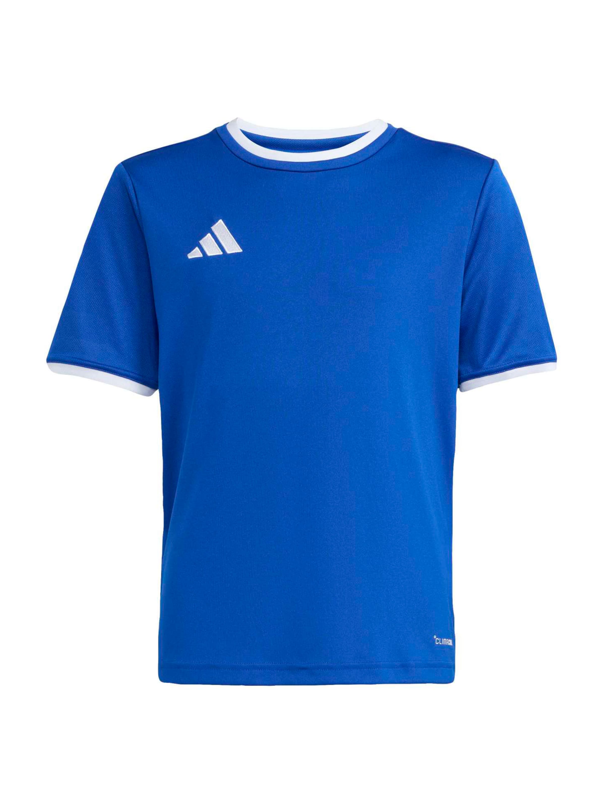 Adidas Performance Футболка для тренировок 'ENT26' в темно-синем цвете
Adidas Performance Футболка для тренировок 'ENT26' в темно-синем цвете