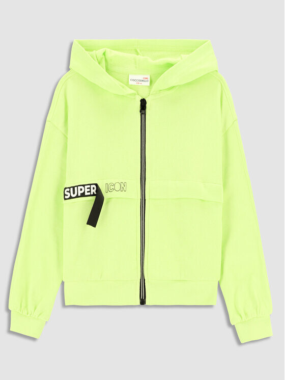Толстовка обычного кроя Coccodrillo, зеленый
Толстовка обычного кроя Coccodrillo, зеленый