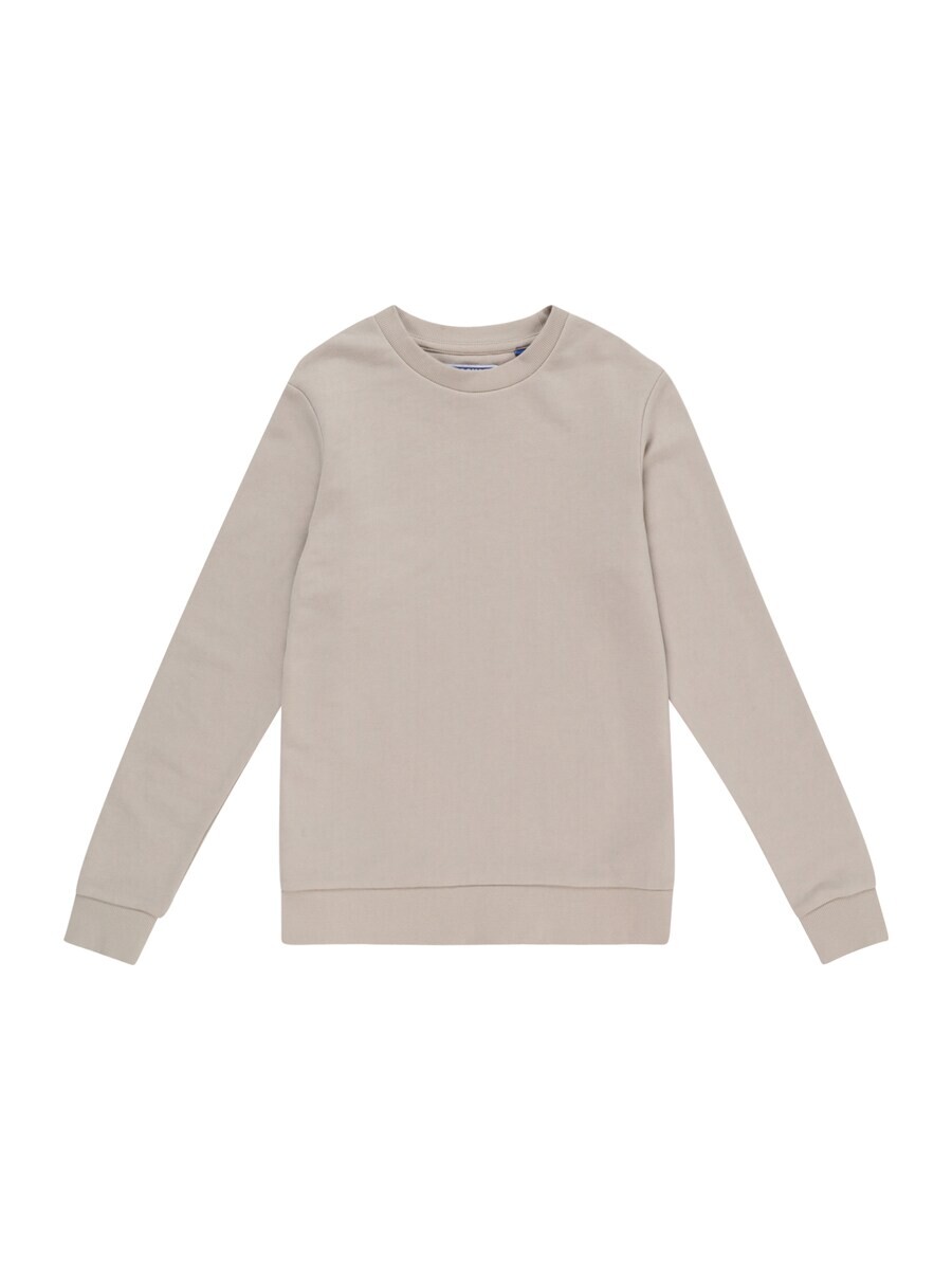 Толстовка Jack & Jones BRADLEY, цвет Kitt
Толстовка Jack & Jones BRADLEY, цвет Kitt