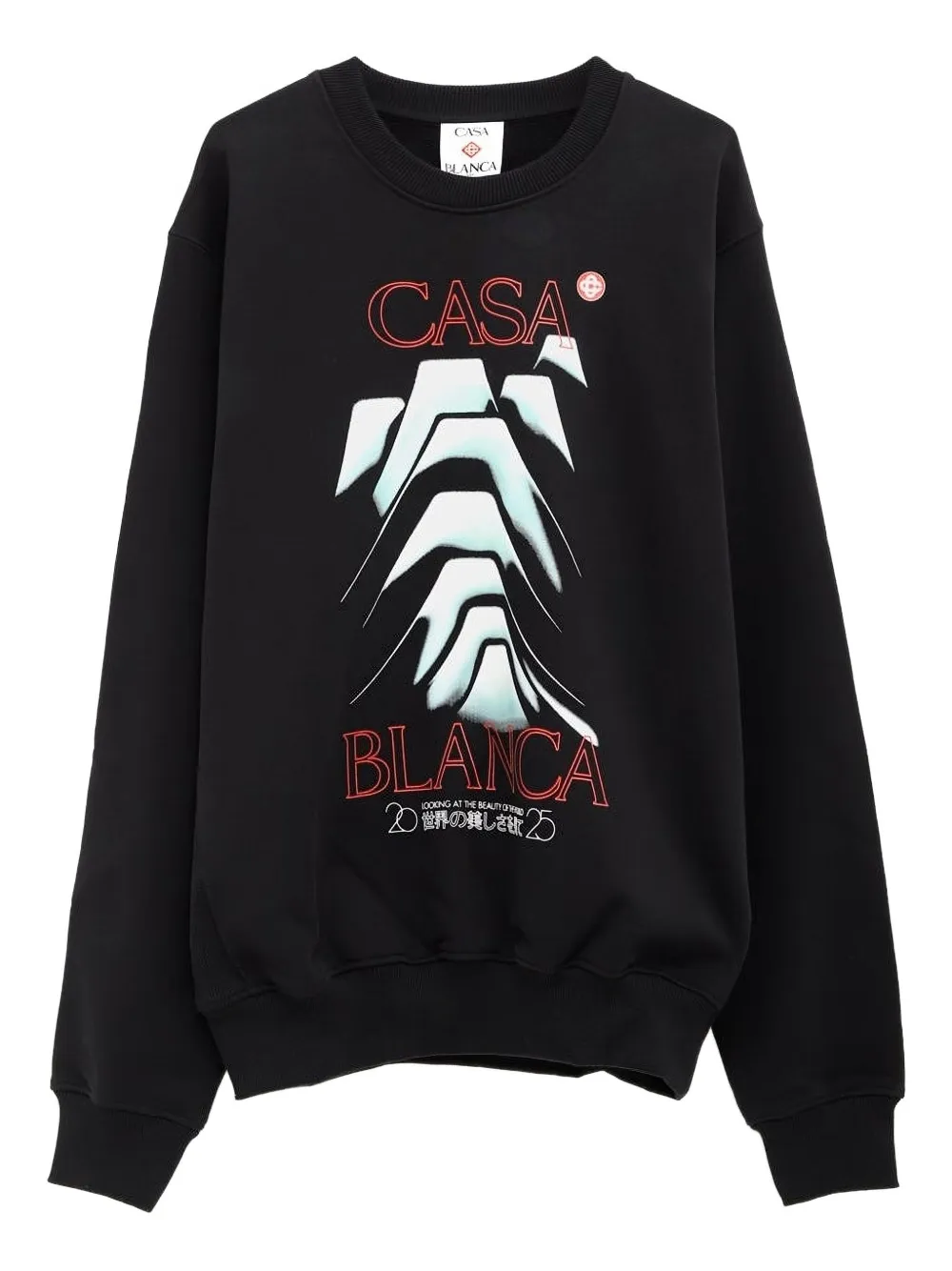 Толстовка с графическим принтом CASABLANCA, черный
Толстовка с графическим принтом CASABLANCA, черный