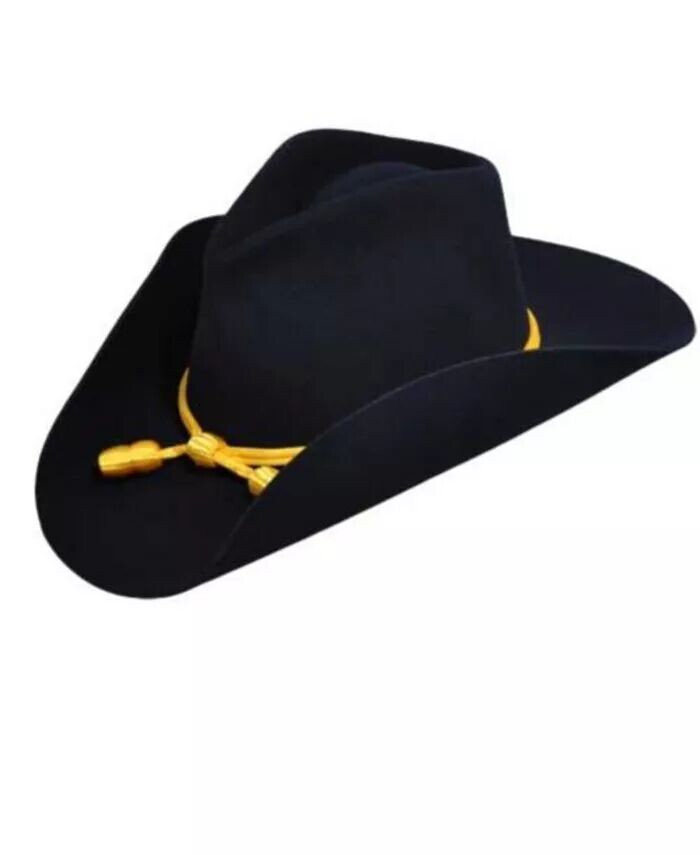 Мужская шляпа Cavalry II в ковбойском стиле вестерн Bailey Western, синий
Мужская шляпа Cavalry II в ковбойском стиле вестерн Bailey Western, синий