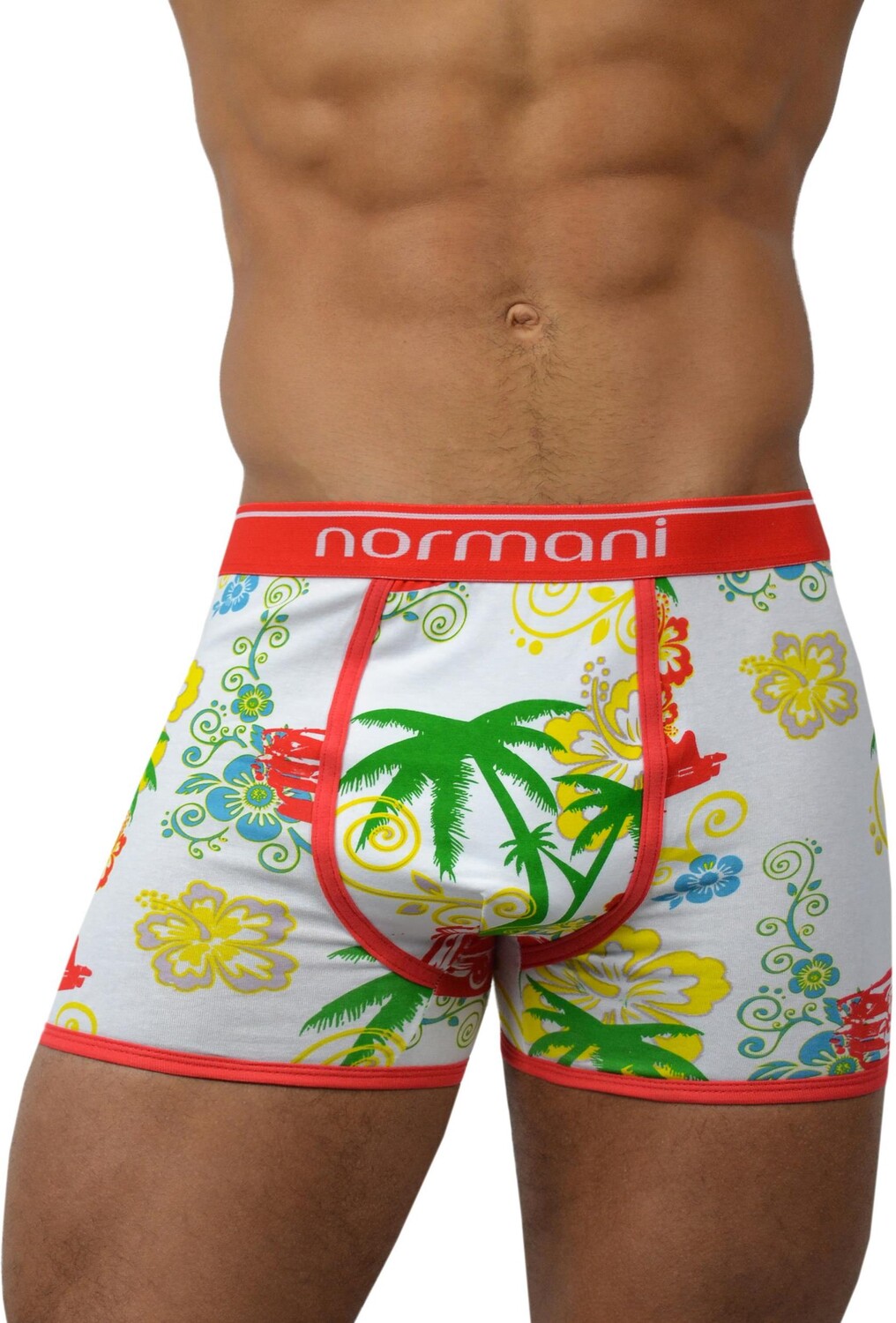 Боксеры normani 6 Stück Retro Boxershorts aus Baumwolle, цвет Hawaiian 
Боксеры normani 6 Stück Retro Boxershorts aus Baumwolle, цвет Hawaiian
